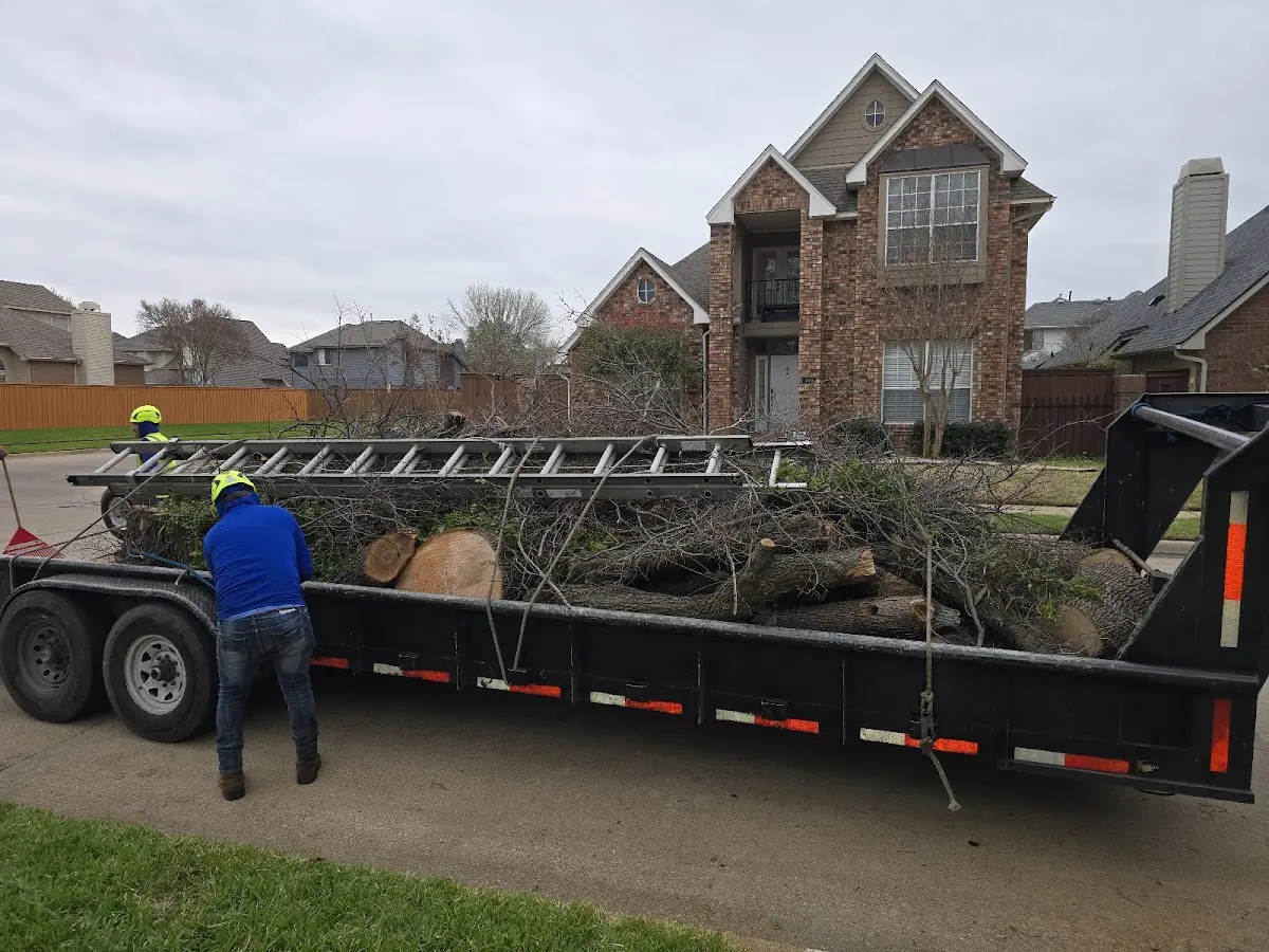 Expert Tree Fertilization with proper safety equipment in West Jefferson